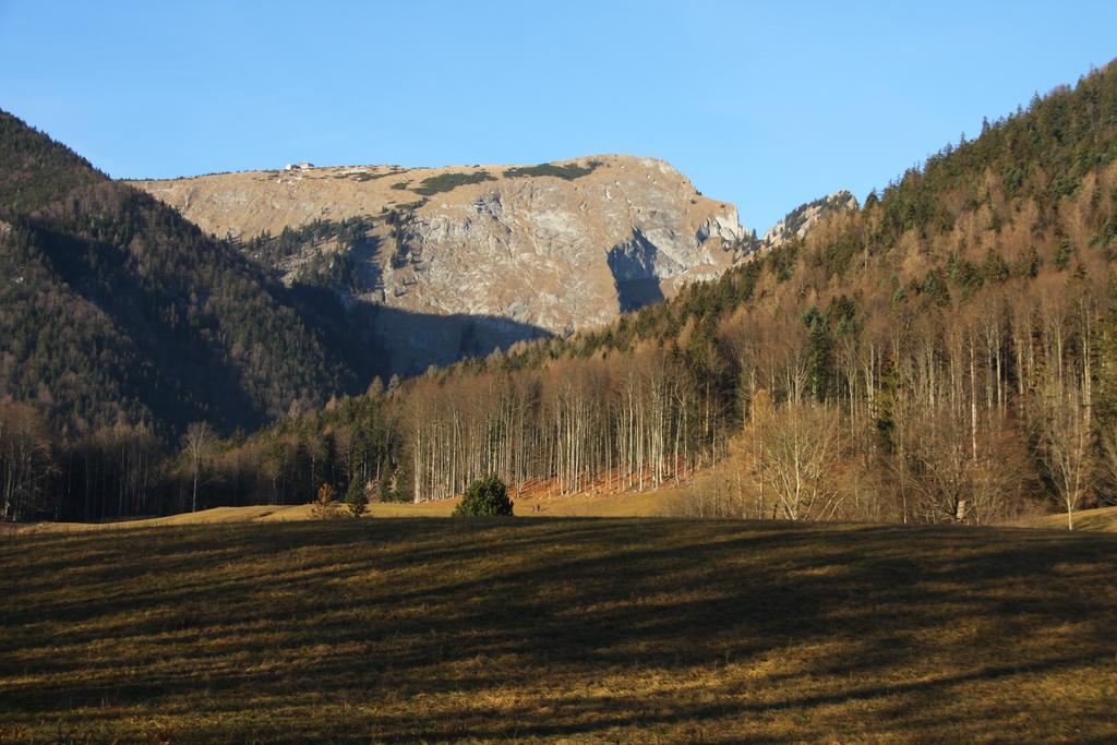 Haus Seeschwalbe Saint Wolfgang Exterior foto